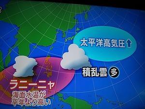 東北南部梅雨明け　広い範囲で猛暑日　2022/6/29 - 徳ちゃん便り