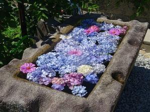 般若寺の「紫陽花ガラスボール」 - 彩の気まぐれ写真