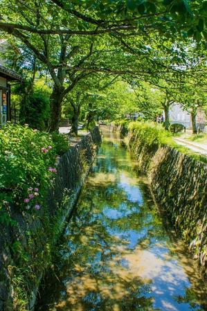 哲学の道 - 鏡花水月