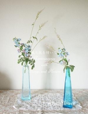 青を生ける　青いガラス瓶にブルースターとチダケサシを・・・ - 風と花を紡いで