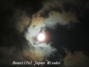 真珠の月;･ﾟ☆､･：`☆･･ﾟ･ﾟ☆ - Beautiful Japan 絵空事