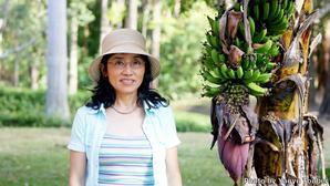 コスタリカ自宅近くの公園でバナナの木と共に - とことん写真