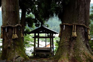 京都北山   ー   静原の里に神さびた社と趣きのある家々を見て、後白河法皇が歩いた道を探る - 京都迷路案内