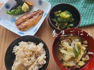 夏野菜で養生ランチ - 食品ロス削減料理研究家ブログ行長万里 　日本全国　美味しい話