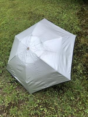 夏場の散歩は「日傘」が必須。早朝や夕方以外の時間も、ウォーキングタイムにできるのです。 - コトノハコトバ：言葉で考えるマーケティング [コンテンツ制作のKID'S COMPANYブログ]