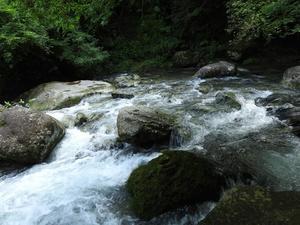 『釜ヶ谷川の流れと釜ヶ滝への風景』 - 自然風の自然風だより