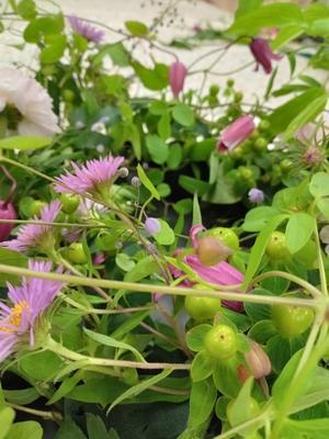 ラスティックな会場装花 馬酔木編 ウエディング 装花専門店 Misena ブログ