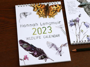 2023年 ワイルドライフ・カレンダー イギリスの生きものたちのくらし 発売開始！！ - ブルーベルの森ブログ-英国作家のマグカップとカードの通販