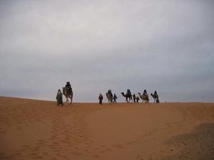 ラクダに乗ってサハラ砂漠を行く - 書架だより