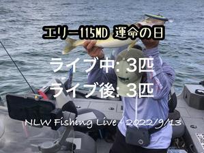 NLW Fishing Live -  2022/9/13 - エリー１１５MD　運命の日 - Nishine Lure Works　裏日記