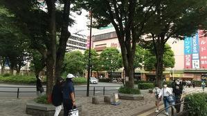 隅田川 新大橋 清洲橋界隈 蚊も無視する そんなブログ The Blog Mosquitoes Ignore