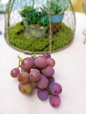 ◆ブドウ収穫 - Soleilの庭あそび・・・布あそび♪