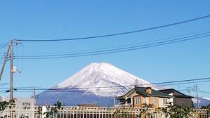 今日の富士山 - 白い羽☆彡静岡県東部情報発信・・・PiPiPi♪