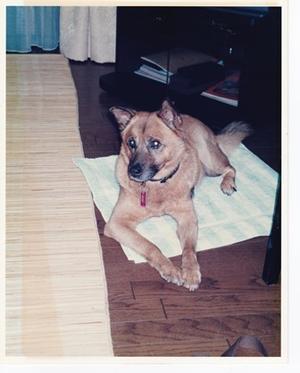 Xmpai7wjqoajgm Xmpai7wjqoajgm