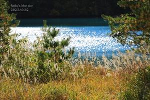 鳴子（潟沼）の秋2022・最終章 （チポが見ていたのは…） - FUNKY'S BLUE SKY