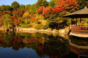 目白庭園 - タケオモンの写真