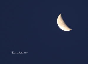 1095. 明け方の月と音楽発表会 - Une cachette 103