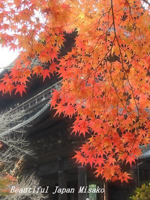 紅葉の南禅寺;･ﾟ☆､･：`☆･･ﾟ･ﾟ☆ - Beautiful Japan 絵空事