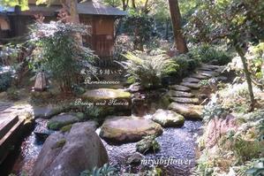 秋の日本庭園  箱根　吉池旅館「山月園」にて - 風と花を紡いで