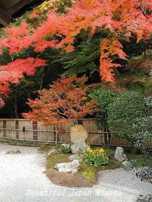 南禅寺垣で囲まれた華厳庭　11月17日;･ﾟ☆､･：`☆･･ﾟ･ﾟ☆ - Beautiful Japan 絵空事