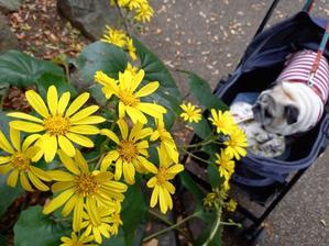 Had4urbxdkpjpm Had4urbxdkpjpm