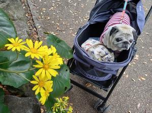 Had4urbxdkpjpm Had4urbxdkpjpm