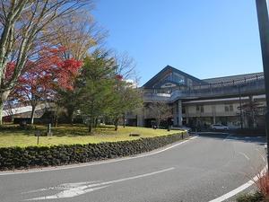 雲場池の紅葉～両親連れて軽井沢へ～ - 旅はコラージュ。～心に残る旅のつくり方～