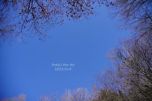 １２月のもみじ・最終章 - FUNKY'S BLUE SKY