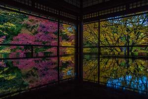 2022京都紅葉～瑠璃光院（秋の特別拝観） - 鏡花水月