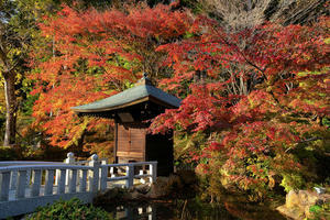 弁才天堂周辺の紅葉「法多山 尊永寺」 - やきとりブログ