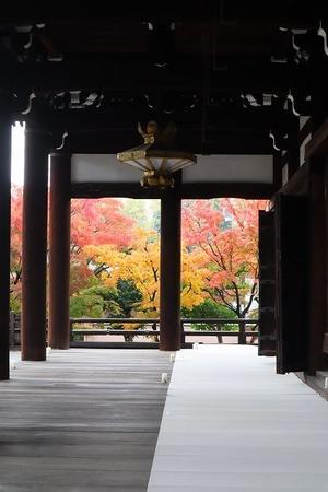 錦繍の京都　妙顕寺　額縁紅葉 - 暮らしを紡ぐ2