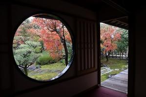 錦繍の京都　妙顕寺　円窓 - 暮らしを紡ぐ2