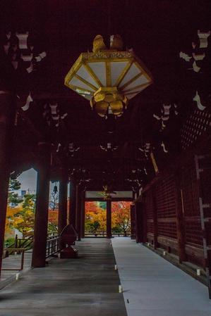 2022京都紅葉～妙顕寺(見頃） - 鏡花水月