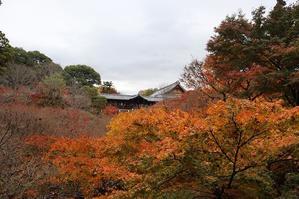 錦繍の京都　東福寺 - 暮らしを紡ぐ2