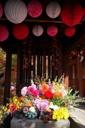 錦繍の京都　勝林寺　花手水と和傘 - 暮らしを紡ぐ2