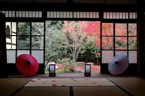 錦繍の京都　勝林寺　和傘 - 暮らしを紡ぐ2