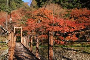 滝ノ谷不動峡・もみじ公園の紅葉♪ - happy-cafe*vol.2