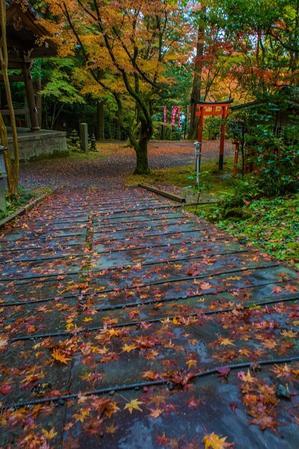 2022京都紅葉～今熊野観音寺 - 鏡花水月