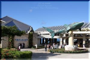 沖縄は夏だった‼　OKINAWA✿2022　#6　沖縄美ら海水族館〇。゜ - フロリズム♪。*