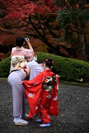 赤い雨 ～今熊野観音寺～ - 雲母（ＫＩＲＡ）の舟に乗って