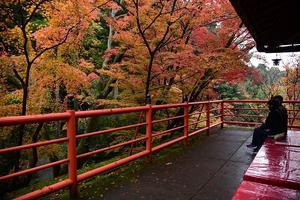錦のお茶席 ～今熊野観音寺～ - 雲母（ＫＩＲＡ）の舟に乗って