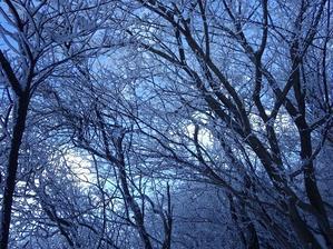 雪景色の九重・・・氷結の御池と中岳 - 信ちゃんの美夜古たより