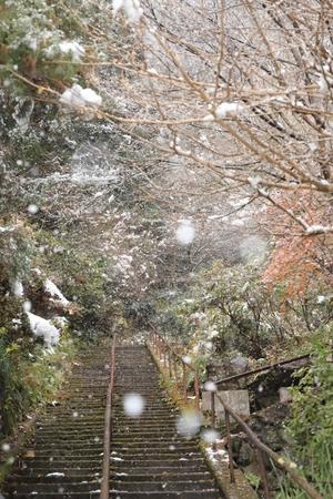 雪の灌頂ヶ滝 - 心 色