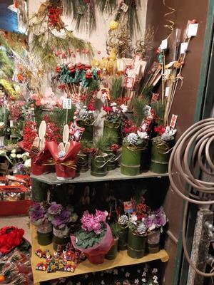 お正月の準備はお済み... - 目黒区　都立大の　花屋  moco    花と 植物で楽しい毎日     一人で全力で営業中