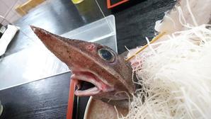 深海料理店　魚重食堂 - 白い羽☆彡静岡県東部情報発信・・・PiPiPi♪