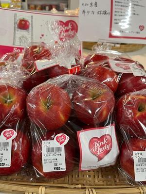 大洗まいわい市場　希少品種「ピンクレディー」入荷致しました！小ぶりの愛くるしいりんごです♪ - わいわいまいわい－大洗まいわい市場公式ブログ