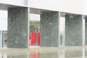 ♪雪降る美術館♪ - 野風の部屋