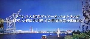 小川洋子原作・映画『薬指の標本』映像化された標本づくり名場面 - 