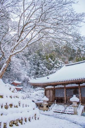 愛宕念仏寺～雪景色 - 鏡花水月