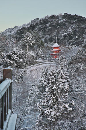 京都　雪景色2023 - 写真部